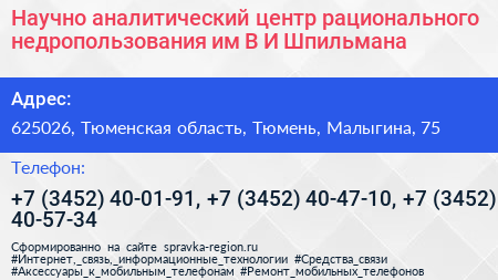 Научно аналитический центр рационального недропользования им В И Шпильмана - визитка