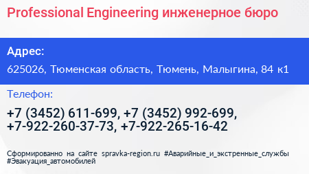 Professional Engineering инженерное бюро - визитка