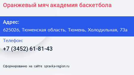 Оранжевый мяч академия баскетбола - визитка