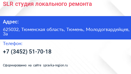 SLR студия локального ремонта - визитка
