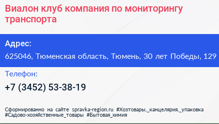 Виалон клуб компания по мониторингу транспорта - визитка