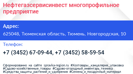 Нефтегазсервисинвест многопрофильное предприятие - визитка