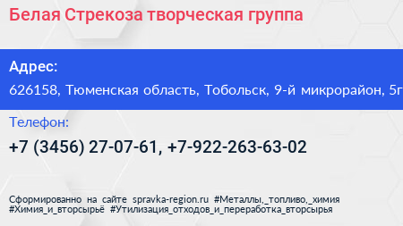 Белая Стрекоза творческая группа - визитка