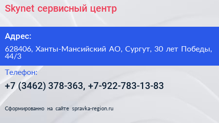 Skynet сервисный центр - визитка