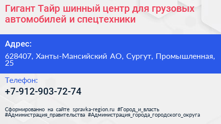 Гигант Тайр шинный центр для грузовых автомобилей и спецтехники - визитка