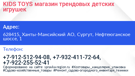KIDS TOYS магазин трендовых детских игрушек - визитка