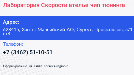 Лаборатория Скорости ателье чип тюнинга - визитка