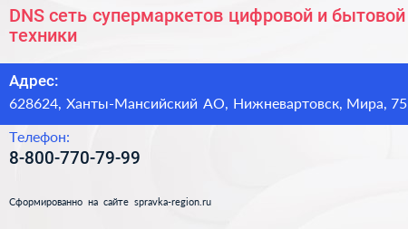 DNS сеть супермаркетов цифровой и бытовой техники - визитка