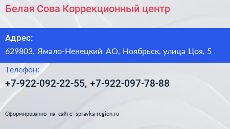 Белая Сова Коррекционный центр - визитка