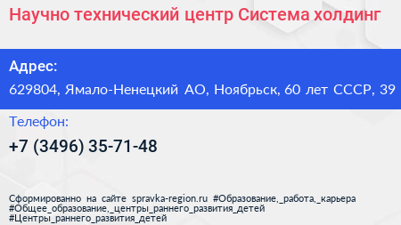 Научно технический центр Система холдинг - визитка