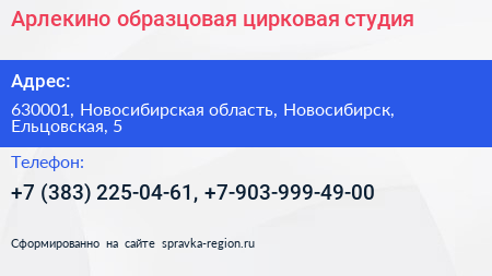 Арлекино образцовая цирковая студия - визитка