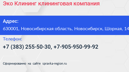 Эко Клининг клининговая компания - визитка