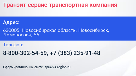 Транзит сервис транспортная компания - визитка