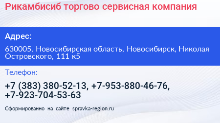 Рикамбисиб торгово сервисная компания - визитка