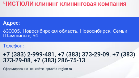 ЧИСТЮЛИ клининг клининговая компания - визитка