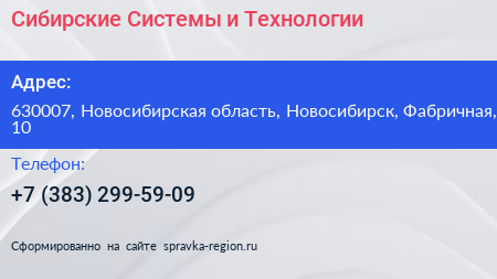 Сибирские Системы и Технологии - визитка