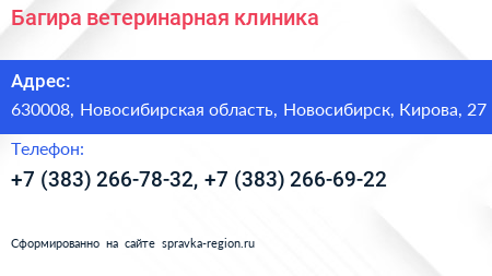Багира ветеринарная клиника - визитка