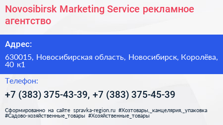 Novosibirsk Marketing Service рекламное агентство - визитка