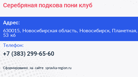 Серебряная подкова пони клуб - визитка