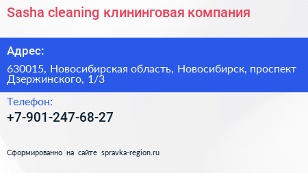 Sasha cleaning клининговая компания - визитка
