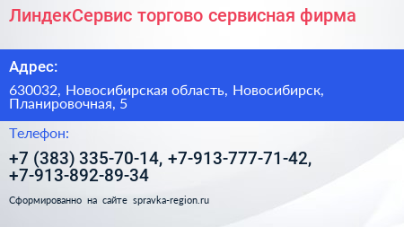 ЛиндекСервис торгово сервисная фирма - визитка