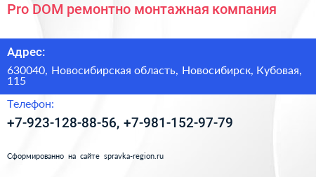 Pro DOM ремонтно монтажная компания - визитка