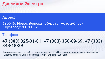 Джемини Электро - визитка