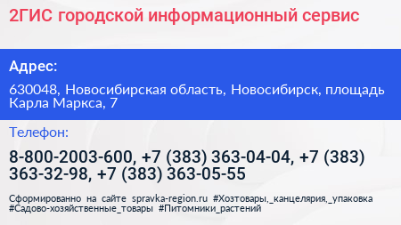 2ГИС городской информационный сервис - визитка