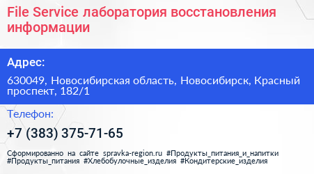 File Service лаборатория восстановления информации - визитка