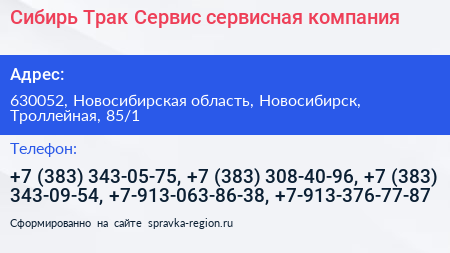 Сибирь Трак Сервис сервисная компания - визитка