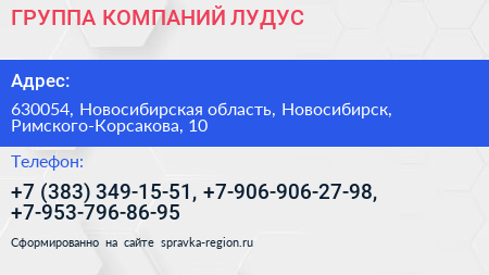 ГРУППА КОМПАНИЙ ЛУДУС - визитка