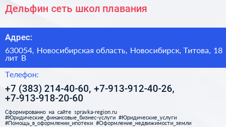 Дельфин сеть школ плавания - визитка