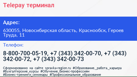 Telepay терминал - визитка