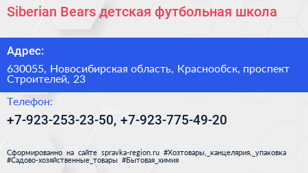 Siberian Bears детская футбольная школа - визитка