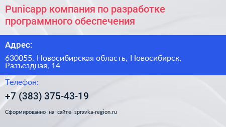 Punicapp компания по разработке программного обеспечения - визитка