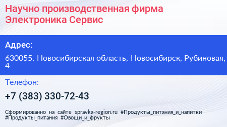 Научно производственная фирма Электроника Сервис - визитка
