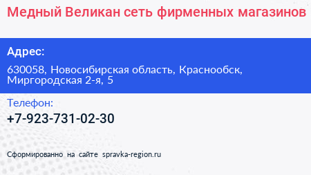 Медный Великан сеть фирменных магазинов - визитка
