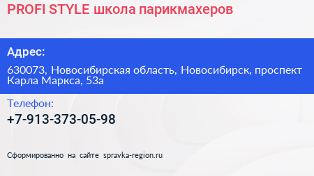 PROFI STYLE школа парикмахеров - визитка
