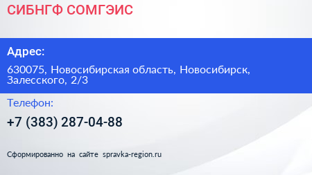 Нажмите, чтобы скачать визитку СИБНГФ СОМГЭИС - визитка