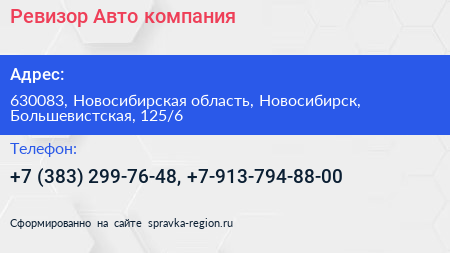 Ревизор Авто компания - визитка