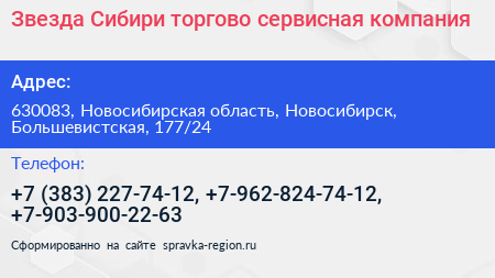Звезда Сибири торгово сервисная компания - визитка