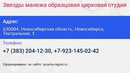 Звезды манежа образцовая цирковая студия - визитка