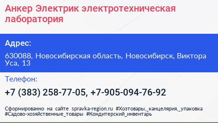 Анкер Электрик электротехническая лаборатория - визитка