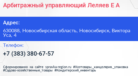 Арбитражный управляющий Леляев Е А  - визитка