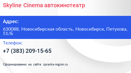 Skyline Cinema автокинотеатр - визитка