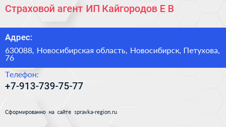 Страховой агент ИП Кайгородов Е В  - визитка