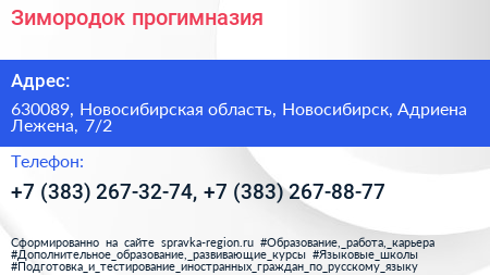 Зимородок прогимназия - визитка