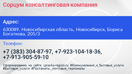 Сорцум консалтинговая компания - визитка