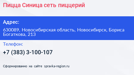 Пицца Синица сеть пиццерий - визитка