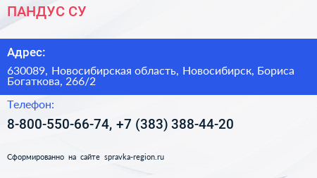 ПАНДУС СУ - визитка